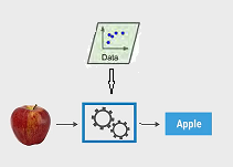 apple classifier